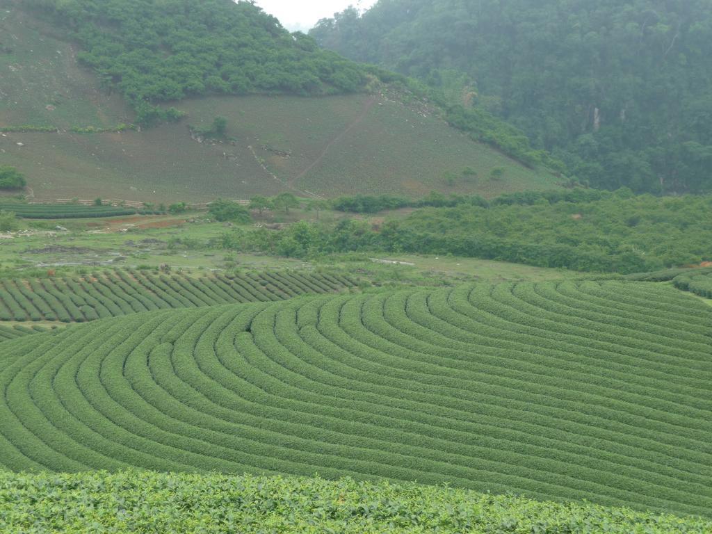 Mai Chau Valley View Hotel Hòa Bình Eksteriør bilde